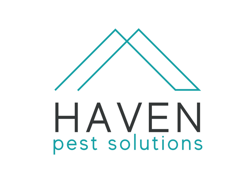 Richardson Pest Control Exterminators In Richardson, TX